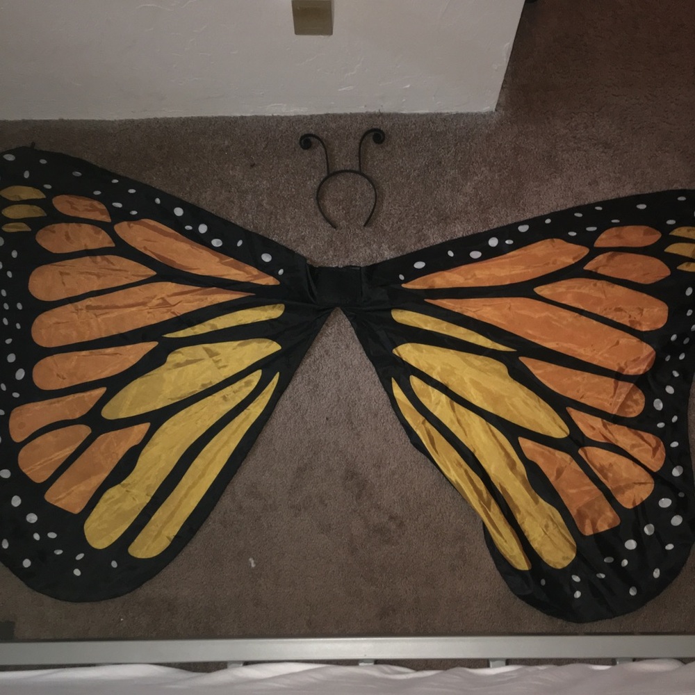 Butterfly Costume